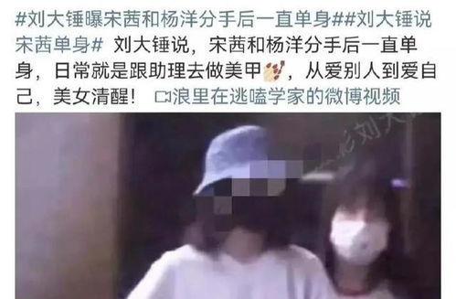 刘大锤爆料老公出轨视频,视频证据曝光惊人内幕